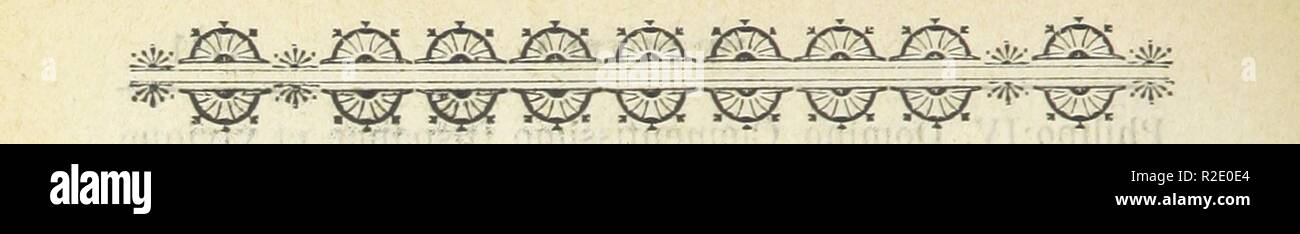 Pagina 338 di "Historia de la ciudad de Puebla de los Angeles' . Foto Stock