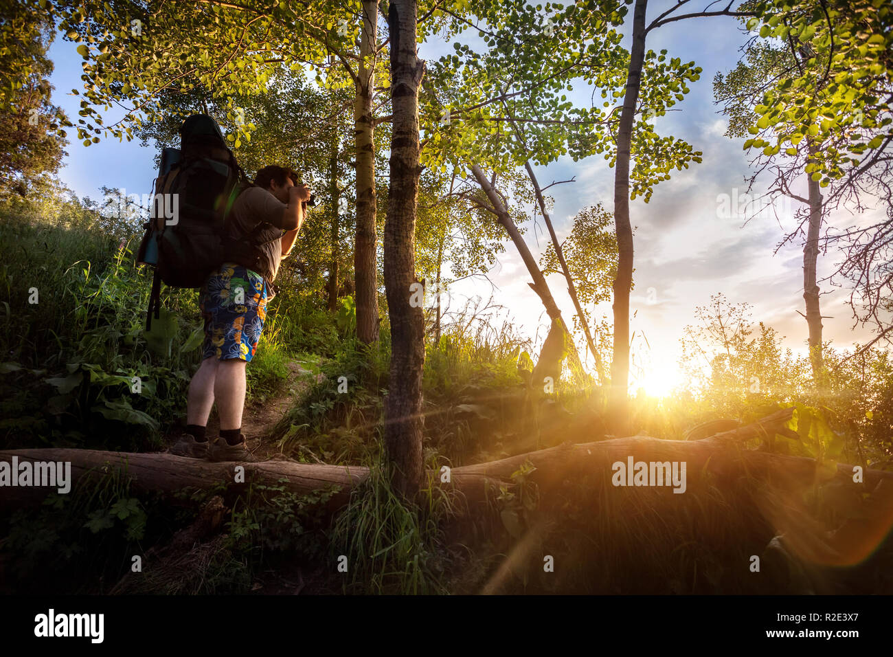 Uomo con zaino e fotocamera in estate foresta al tramonto sullo sfondo del cielo Foto Stock
