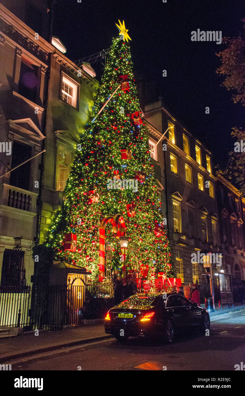 Londra, UK, Annabel's Mayfair club privato albero di Natale entrata in stile decorazione. Foto Stock