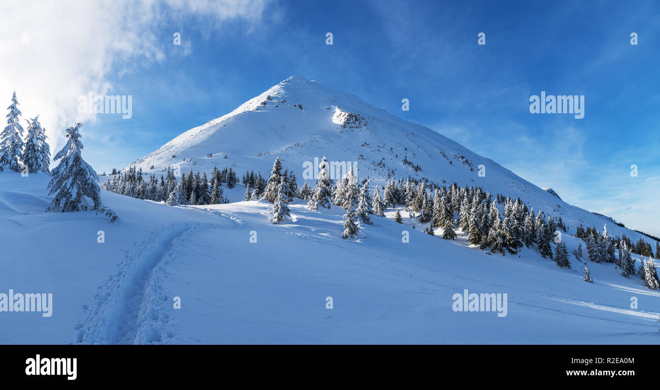 Incantevole paesaggio invernale delle montagne dei Carpazi. Petros picco coperto di neve. Foto Stock