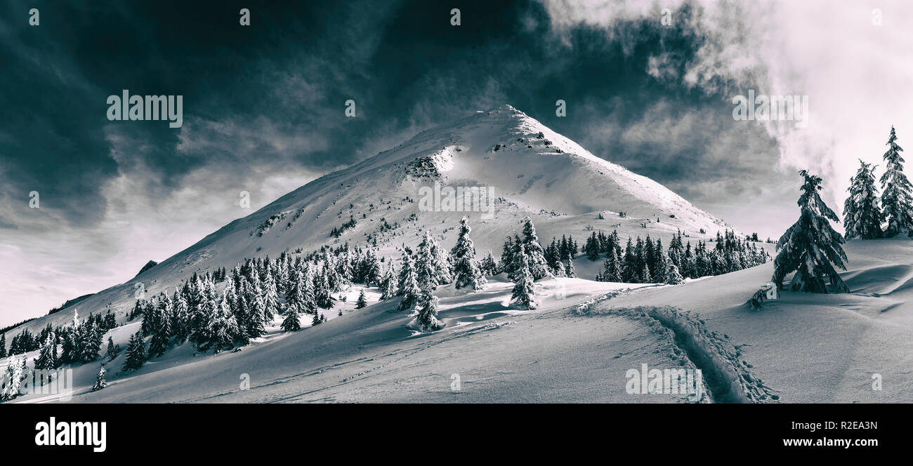Incantevole paesaggio invernale delle montagne dei Carpazi. Petros picco coperto di neve. In bianco e nero photo. Foto Stock