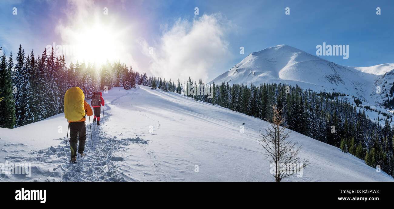 Escursioni invernali. I turisti sono le escursioni nelle montagne coperte di neve. Incantevole paesaggio invernale in montagna. Foto Stock