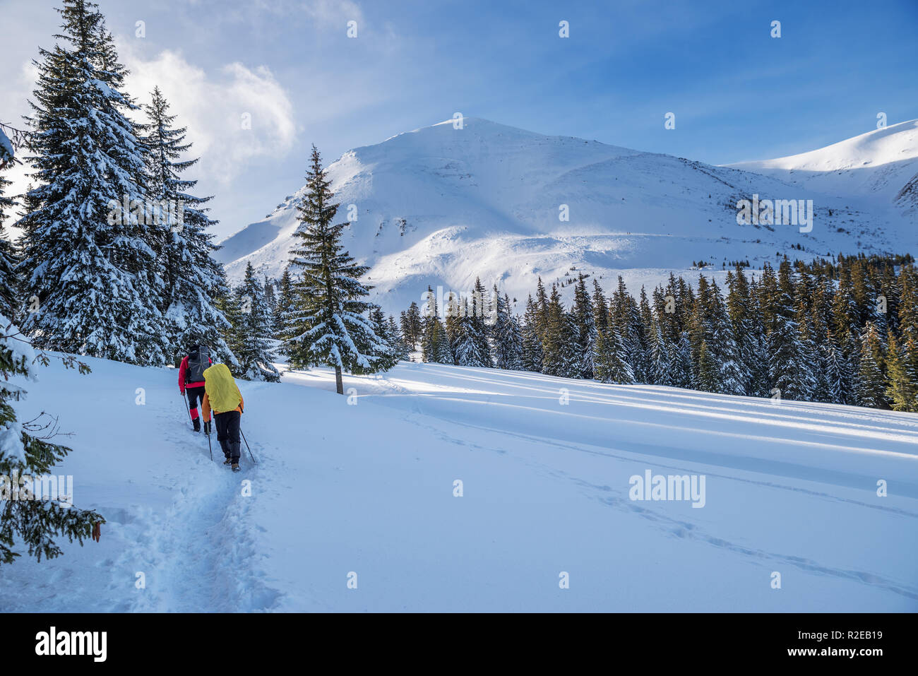 Escursioni invernali. I turisti sono le escursioni nelle montagne coperte di neve. Incantevole paesaggio invernale in montagna. Foto Stock