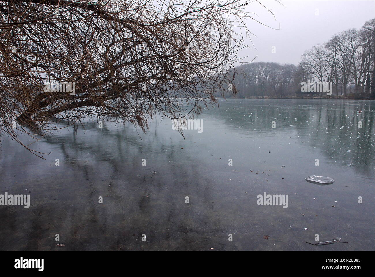 Pesante ondata di freddo colpisce di Lione, Francia Foto Stock