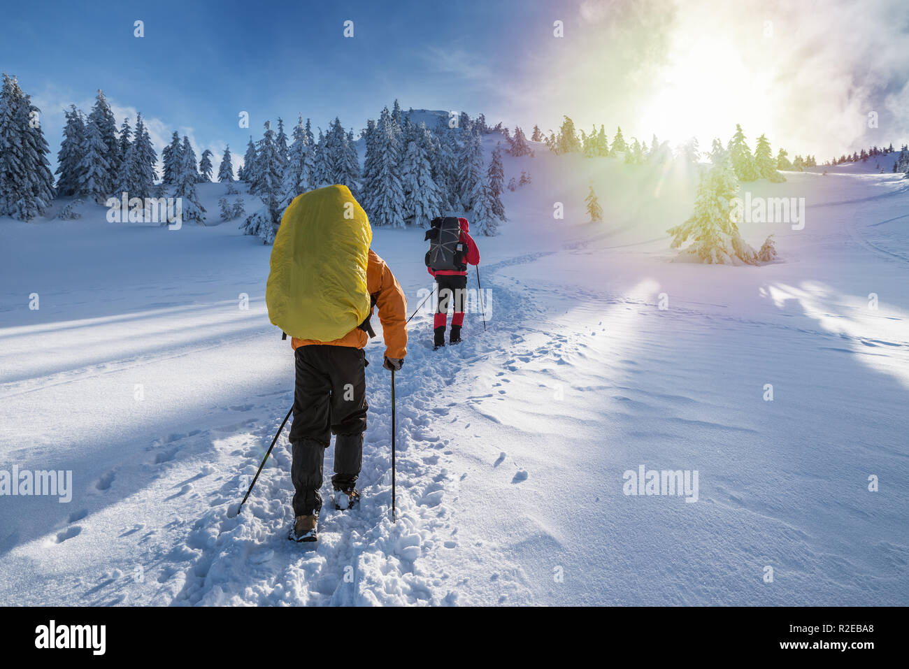 Escursioni invernali. I turisti sono le escursioni nelle montagne coperte di neve. Incantevole paesaggio invernale in montagna. Foto Stock