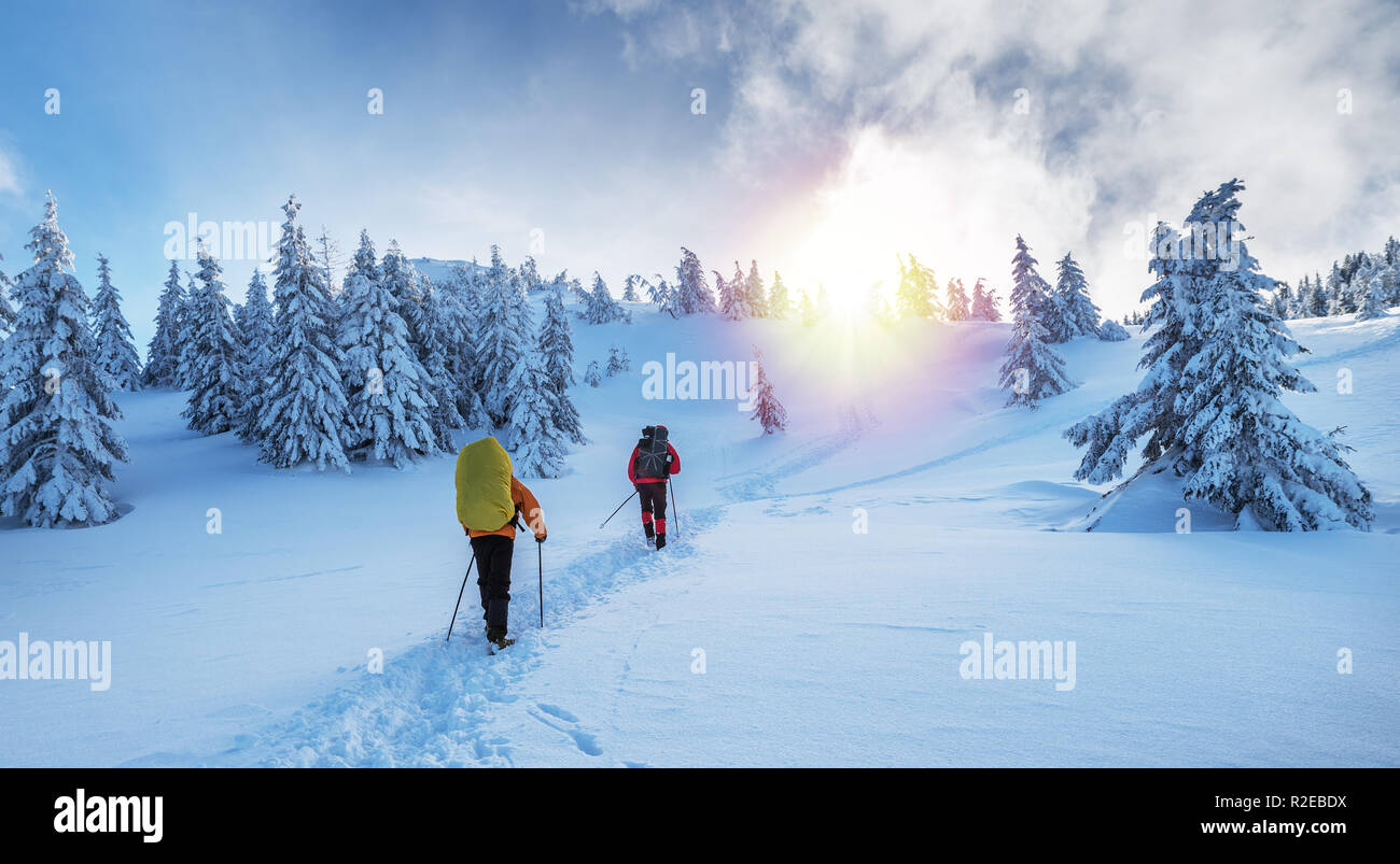 Escursioni invernali. I turisti sono le escursioni nelle montagne coperte di neve. Incantevole paesaggio invernale in montagna. Foto Stock