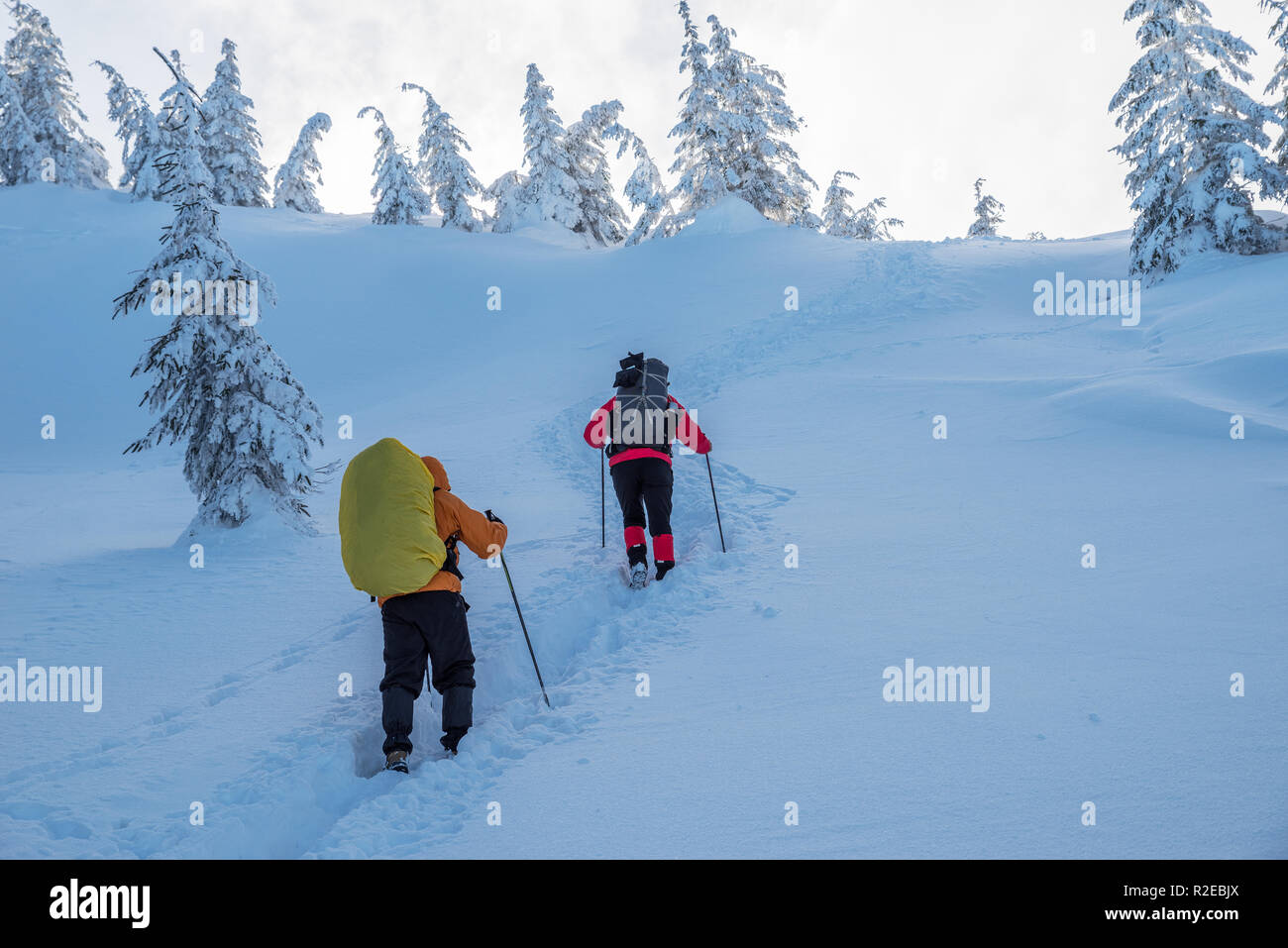 Escursioni invernali. I turisti sono le escursioni nelle montagne coperte di neve. Incantevole paesaggio invernale in montagna. Foto Stock