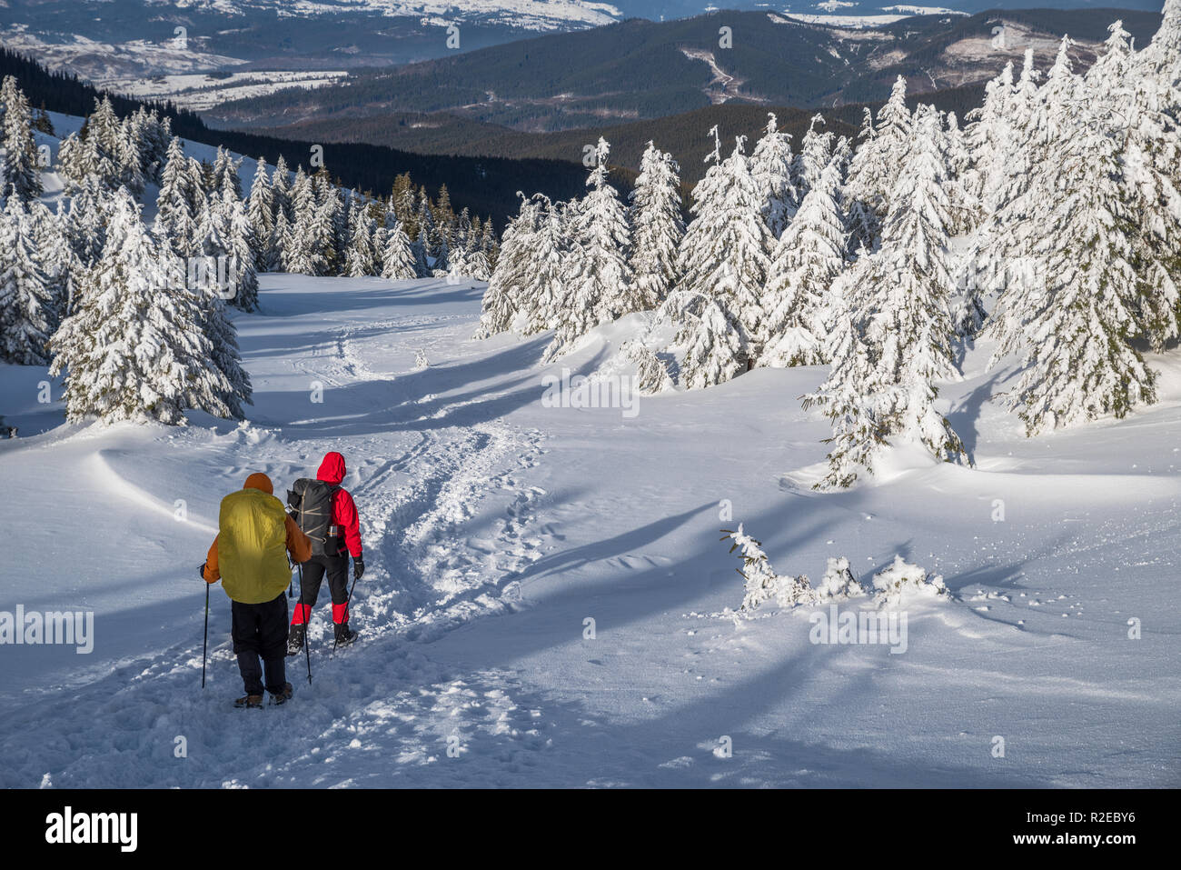 Escursioni invernali. I turisti sono le escursioni nelle montagne coperte di neve. Incantevole paesaggio invernale in montagna. Foto Stock