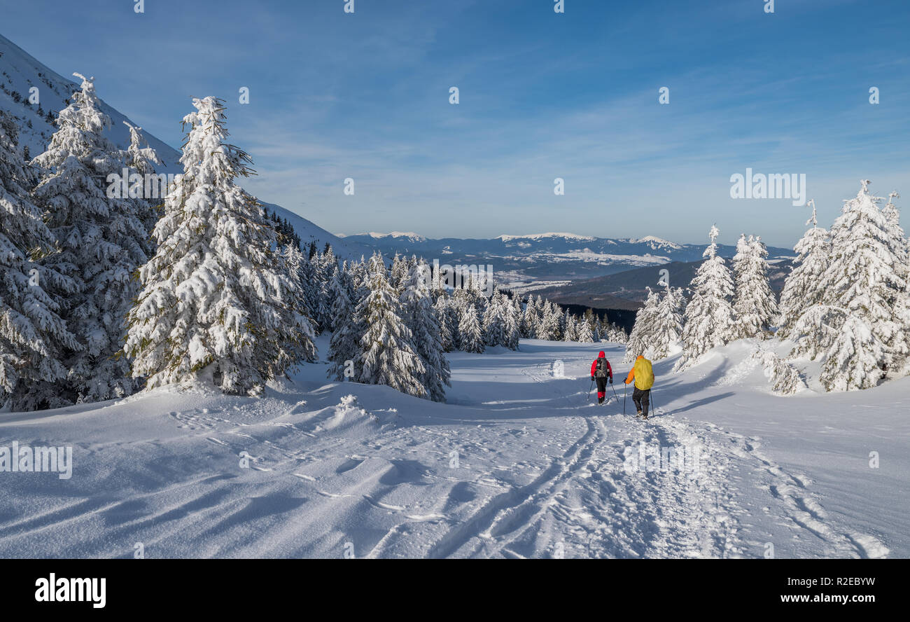 Escursioni invernali. I turisti sono le escursioni nelle montagne coperte di neve. Incantevole paesaggio invernale in montagna. Foto Stock