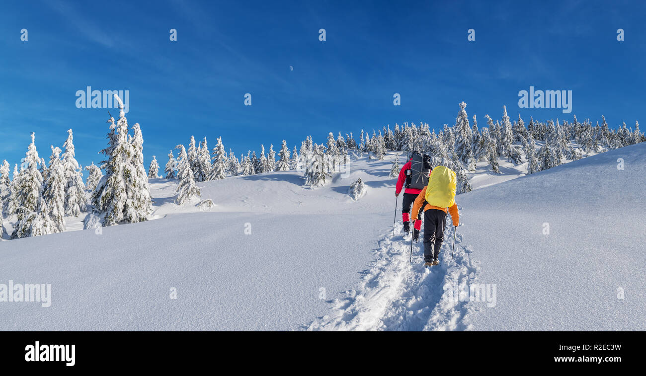 Escursioni invernali. I turisti sono le escursioni nelle montagne coperte di neve. Incantevole paesaggio invernale in montagna. Foto Stock