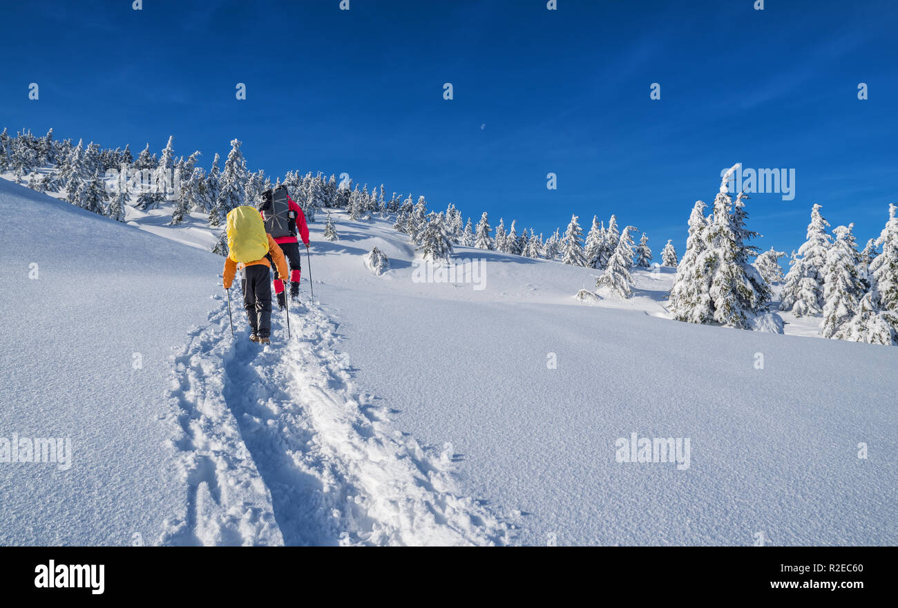 Escursioni invernali. I turisti sono le escursioni nelle montagne coperte di neve. Incantevole paesaggio invernale in montagna. Foto Stock