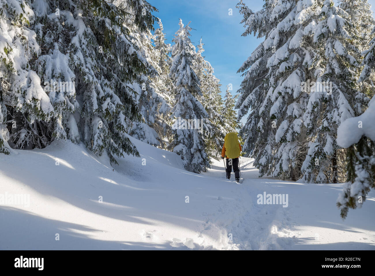 Escursioni invernali. I turisti sono le escursioni nelle montagne coperte di neve. Incantevole paesaggio invernale in montagna. Foto Stock