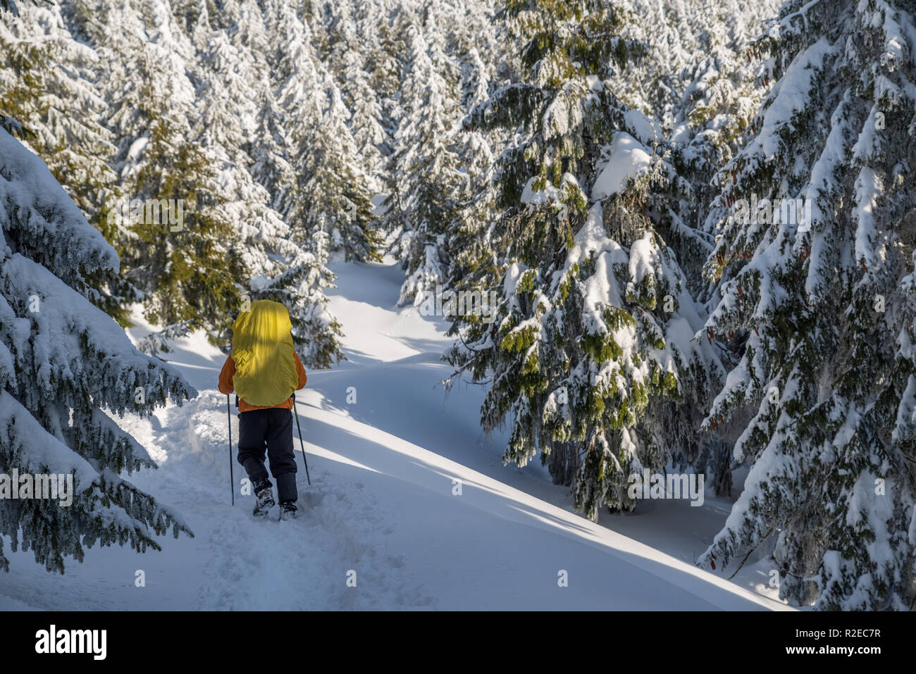 Escursioni invernali. I turisti sono le escursioni nelle montagne coperte di neve. Incantevole paesaggio invernale in montagna. Foto Stock