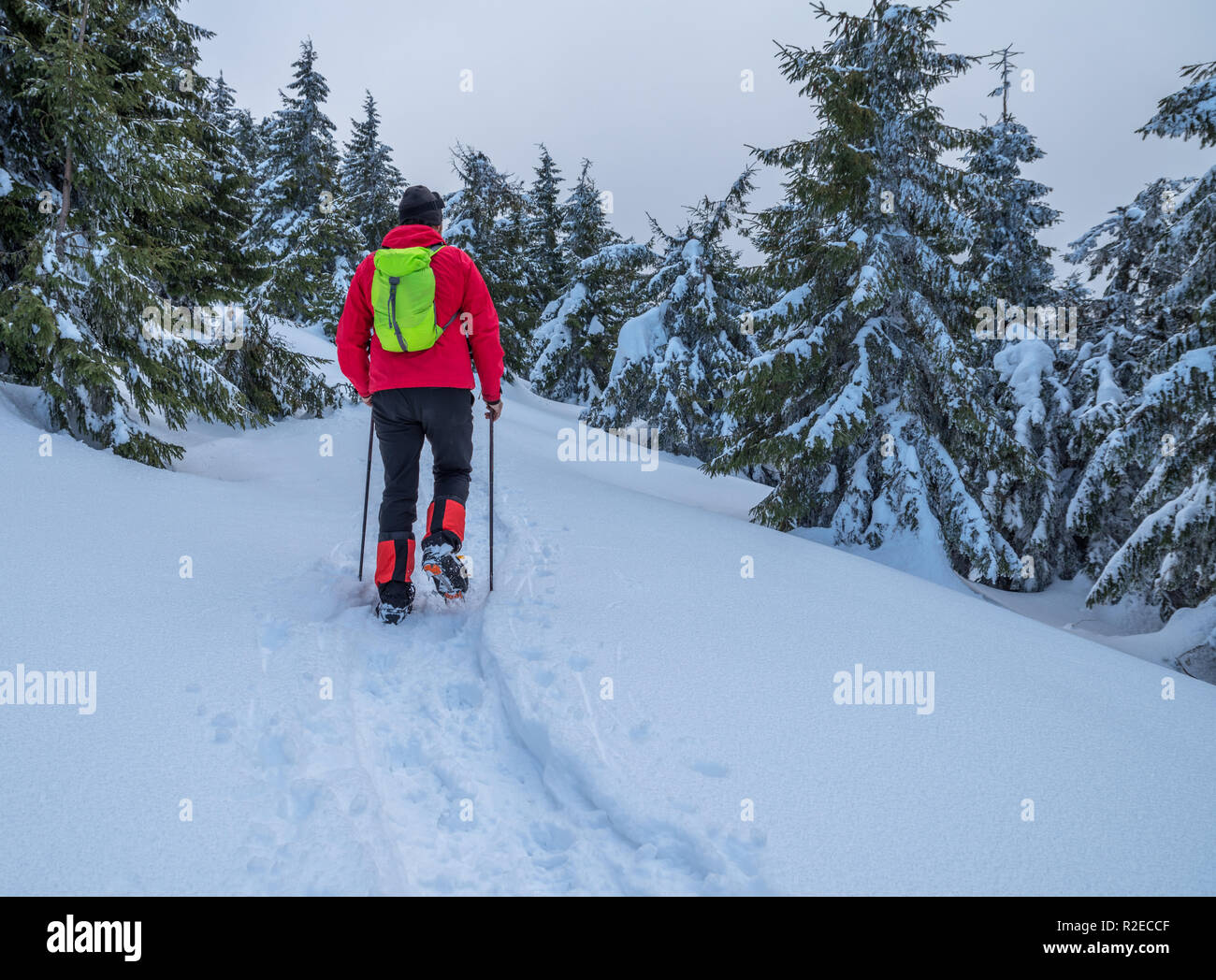 Escursioni invernali. I turisti è escursioni nelle montagne coperte di neve. Incantevole paesaggio invernale in montagna. Foto Stock