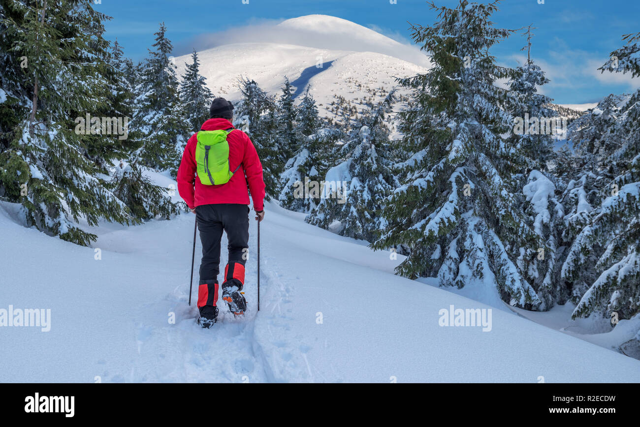 Escursioni invernali. Tourist è escursioni nelle montagne coperte di neve. Incantevole paesaggio invernale in montagna. Foto Stock