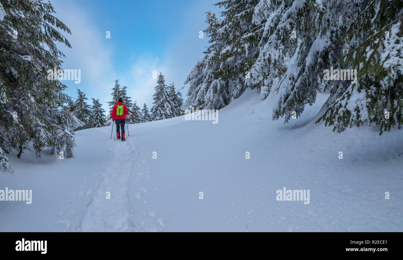 Escursioni invernali. Tourist è escursioni nelle montagne coperte di neve. Incantevole paesaggio invernale in montagna. Foto Stock