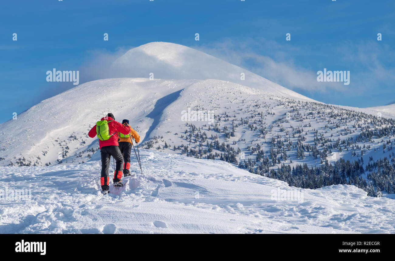I turisti sul loro modo di neve-coperta di cima della montagna. Escursioni invernali. Foto Stock