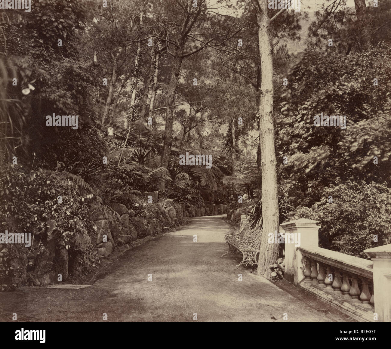 Grant's world tour della Cina. Hong Kong. Il percorso nei giardini pubblici. Maggio 16, 1879. Foto Stock