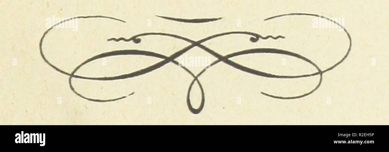 Pagina 519 di "Historia de la ciudad de Puebla de los Angeles' . Foto Stock