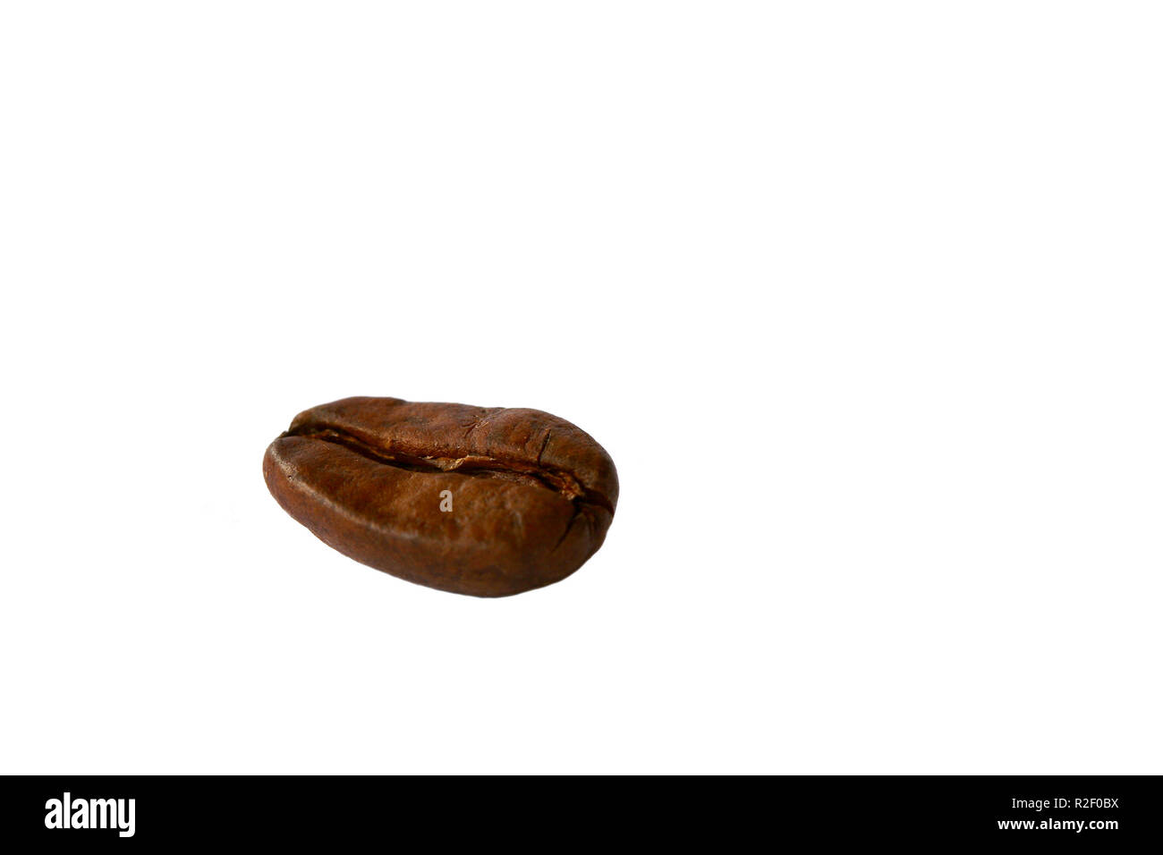 Best bean Foto Stock