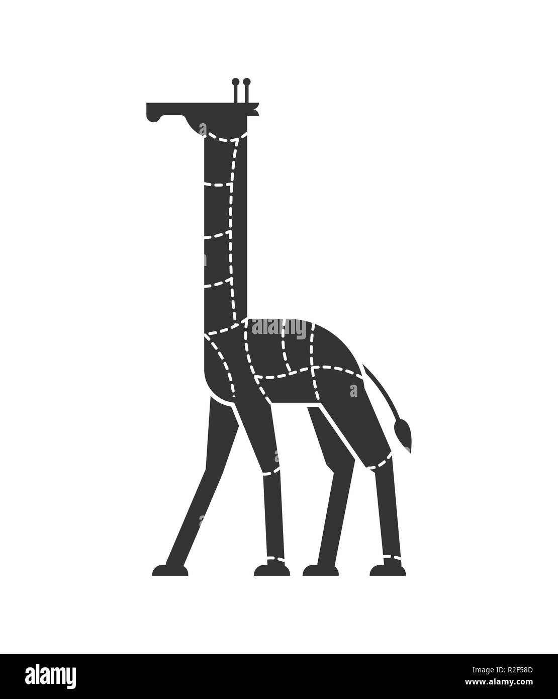 Taglio di carne giraffa. Silhouette Camelopard schema di linee di diverse parti di carne. Come tagliare la carne belva. Poster macellai di schema per i negozi di carne. Illustrazione Vettoriale