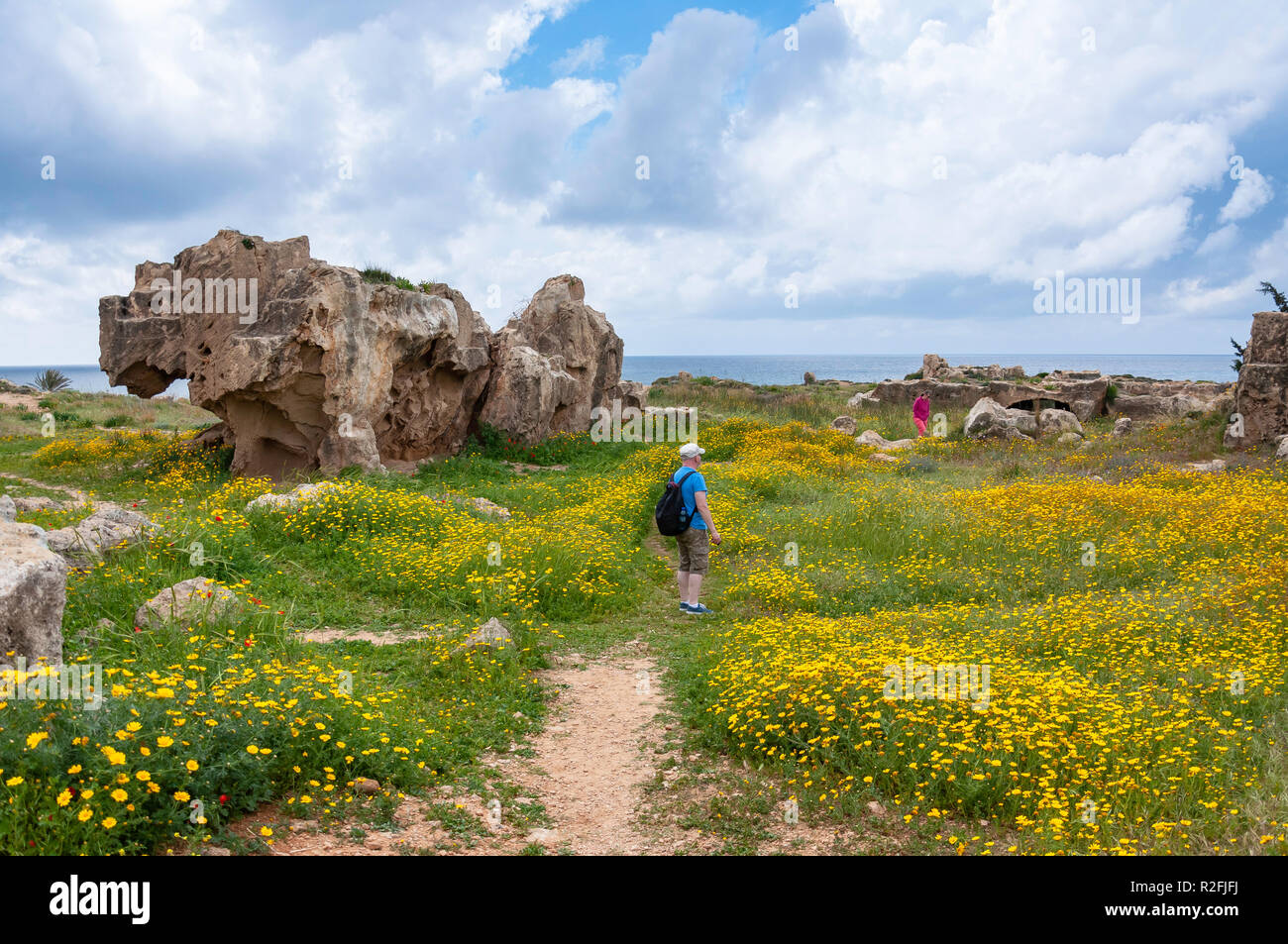 Fiori di Primavera nelle tombe dei re, le tombe dei re Avenue, Paphos (Paphos), Pafos District, la Repubblica di Cipro Foto Stock