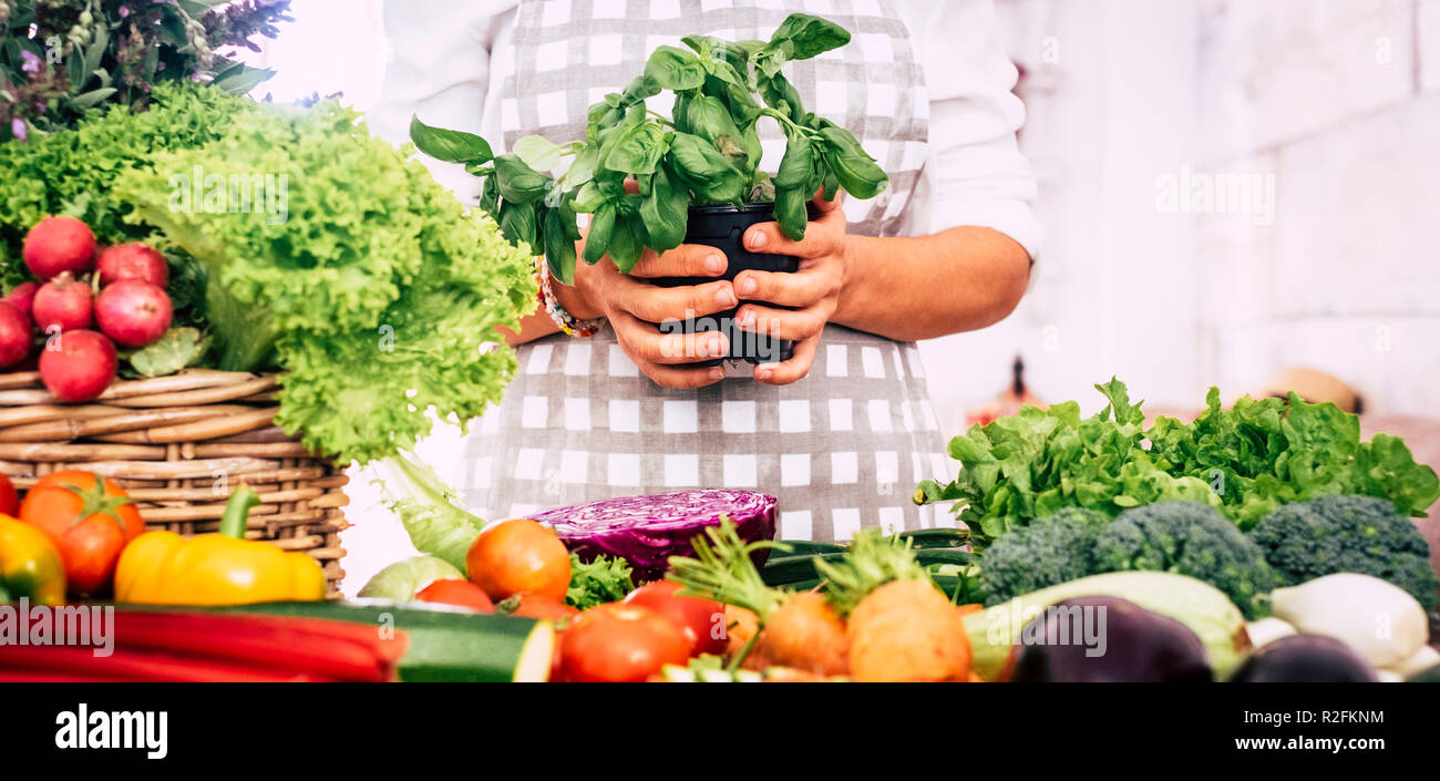 La donna caucasica prendere basilico impianto sulle sue mani mentre sta lavorando in cucina con un sacco di varietà di verdure ad avere uno stile di vita sano e la cura del proprio corpo. colori e mix di pietanze per vegetariani Foto Stock
