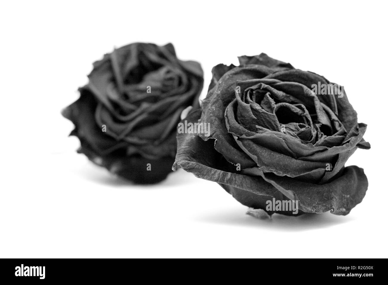 Cosa succede dopo il giorno di san valentino Foto Stock