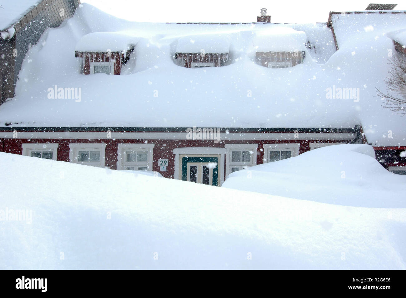 neve di corso Foto Stock