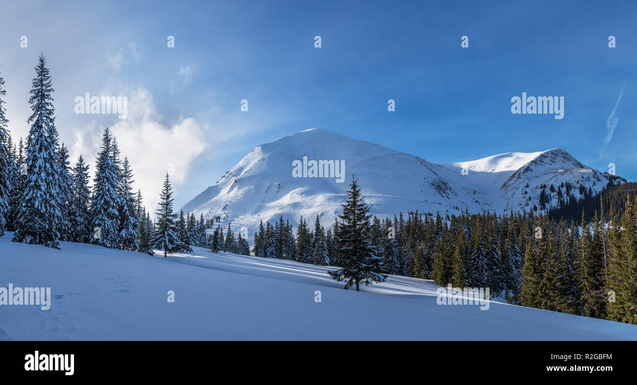 Incantevole paesaggio invernale delle montagne dei Carpazi. Petros picco coperto di neve. Foto Stock