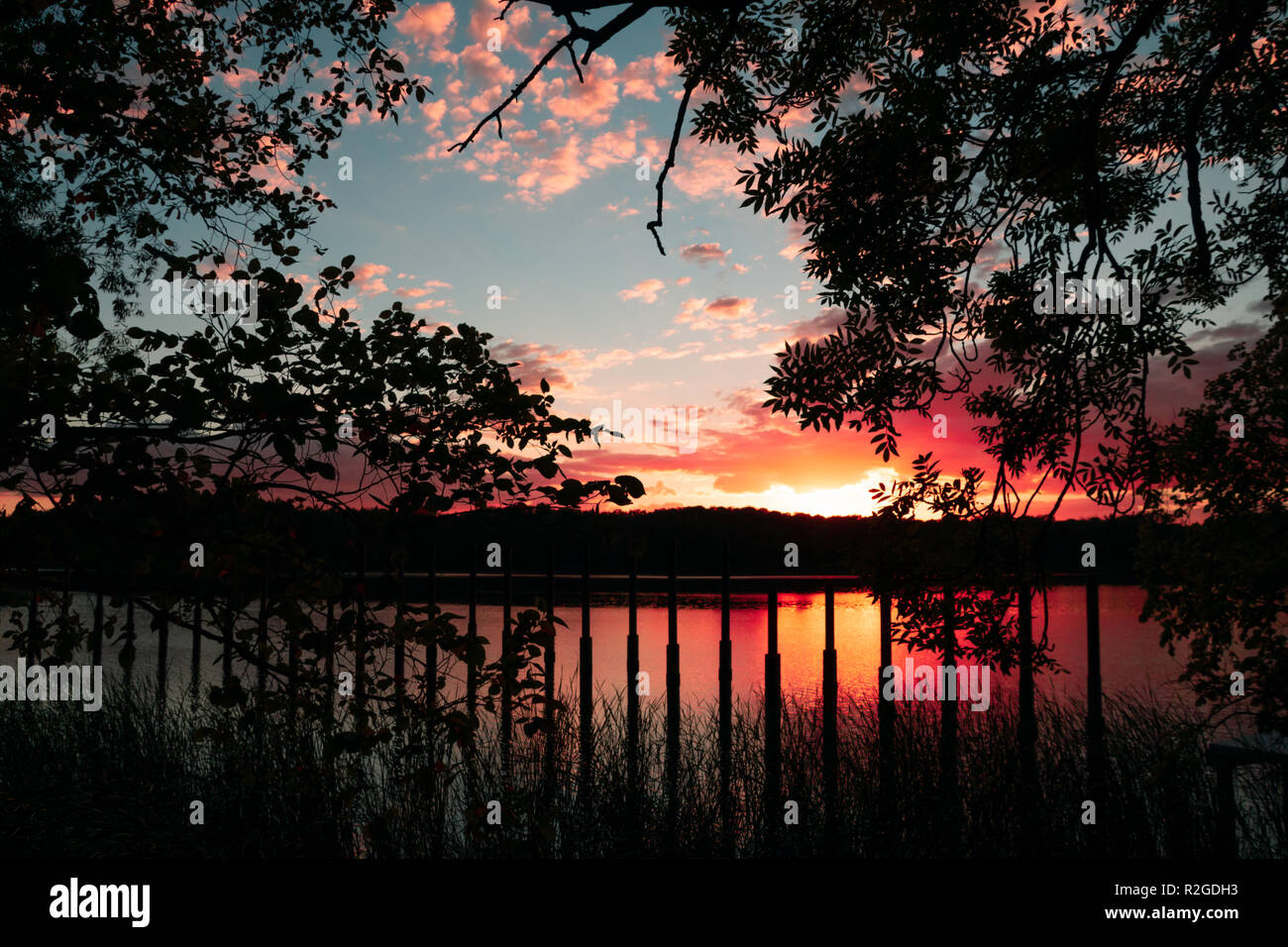 Un bel tramonto sul lago, sagome scure di alberi e foglie. Foto Stock