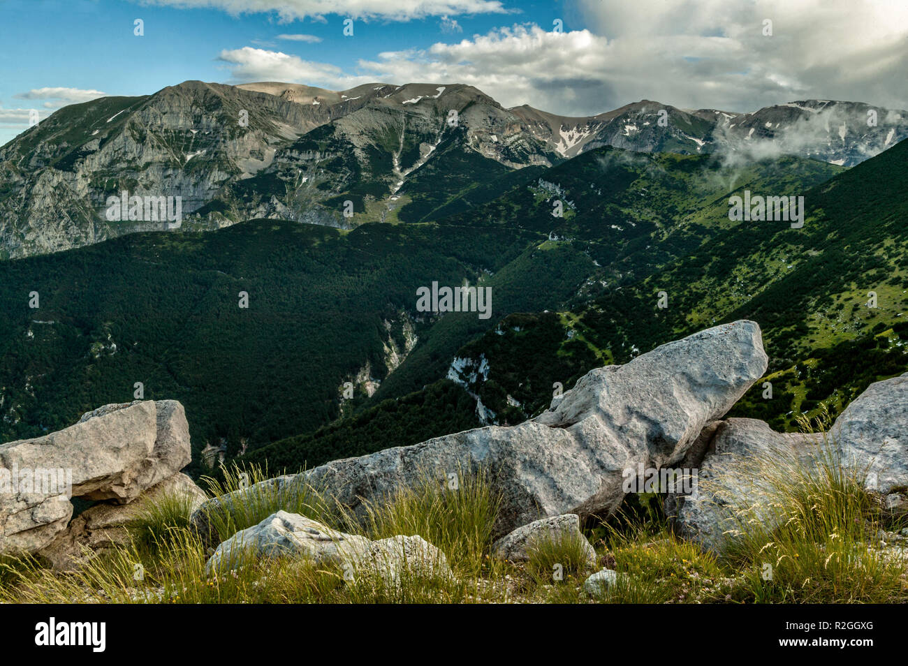 I rigogliosi boschi del Parco Nazionale della Maiella. Abruzzo, Italia, Europa Foto Stock