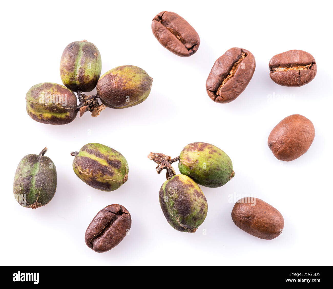 Chicchi verdi di caffè e caffè torrefatto in grani su sfondo bianco. Macro. Foto Stock