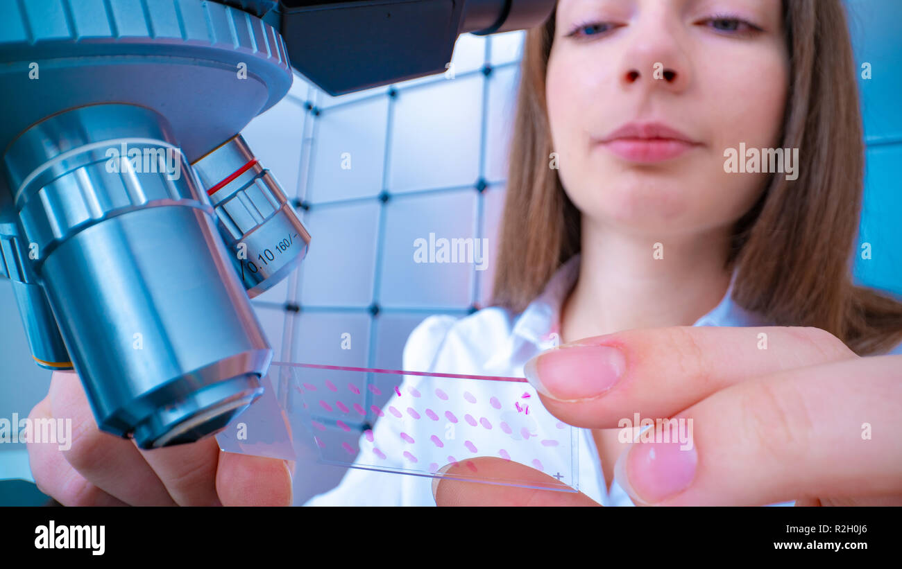 Scienziato analizzando vetrino del microscopio in laboratorio. Giovane donna tecnico sta esaminando un campione istologico, una biopsia in laboratorio di cancro ri Foto Stock