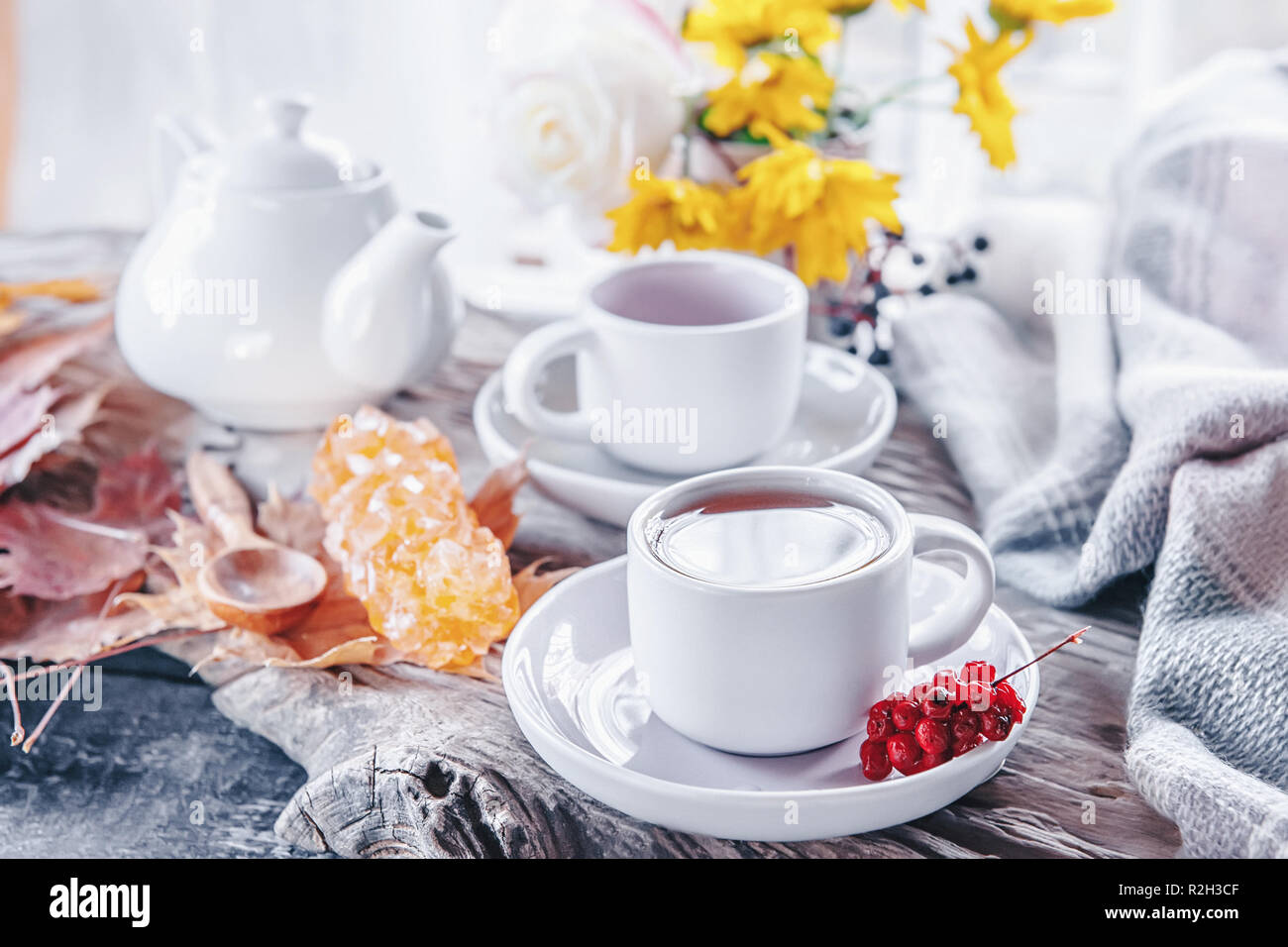 Puro caffè o tè set. Una coppia di raffinata porcellana grigio chiaro e rosa pastello tazze su un accogliente autunno sfondo Foto Stock