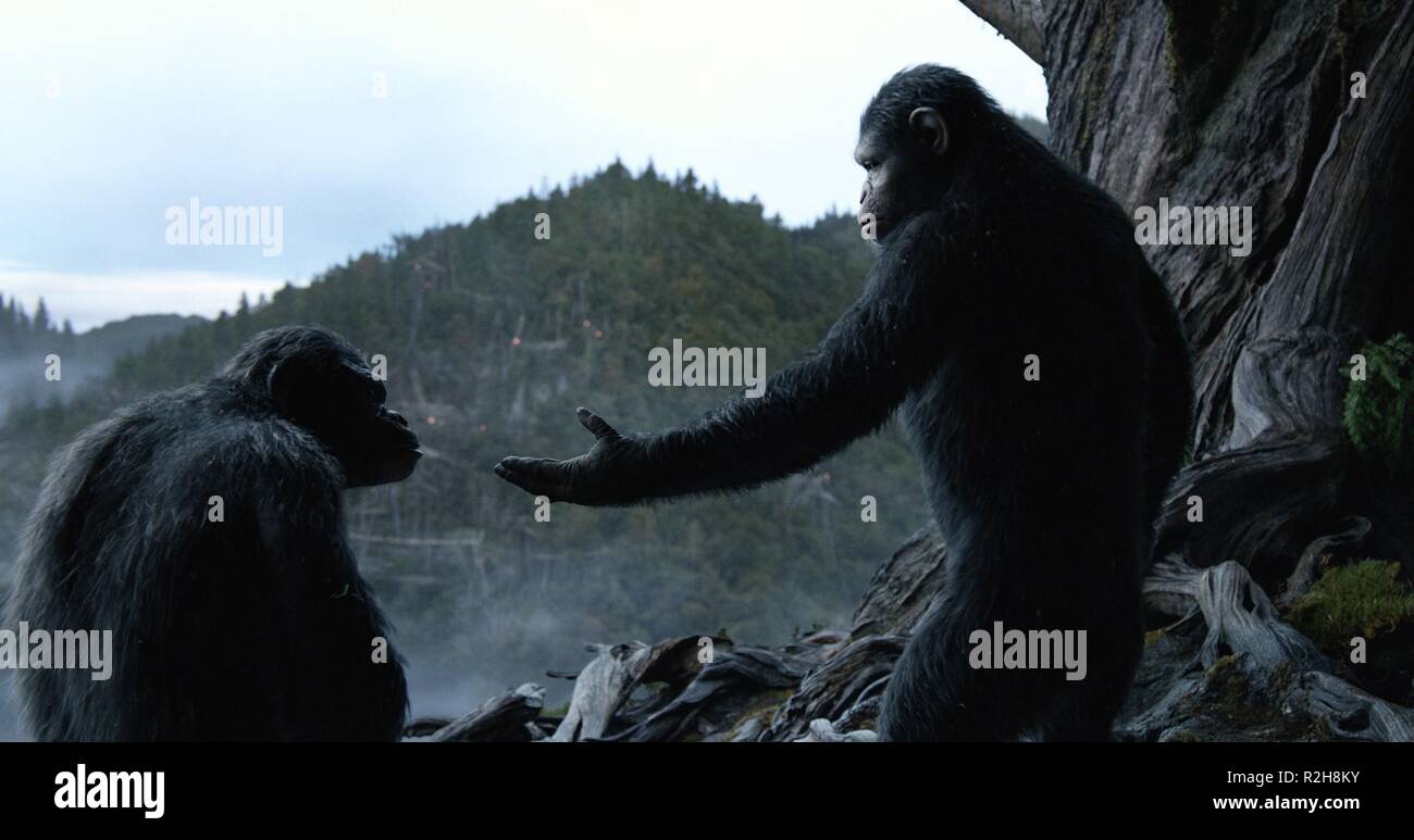 Alba del pianeta delle scimmie Anno : 2014 USA Direttore : Matt Reeves Foto Stock