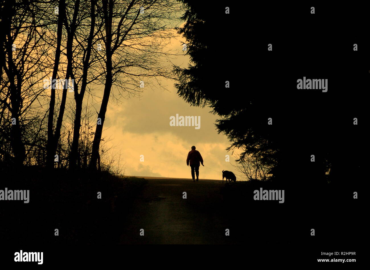 a spasso il cane Foto Stock