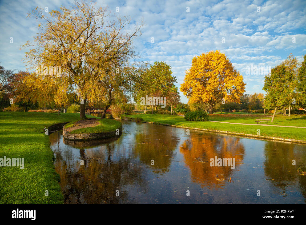 Queen Elizabeth Giardini in Salisbury in Inghilterra. Foto Stock