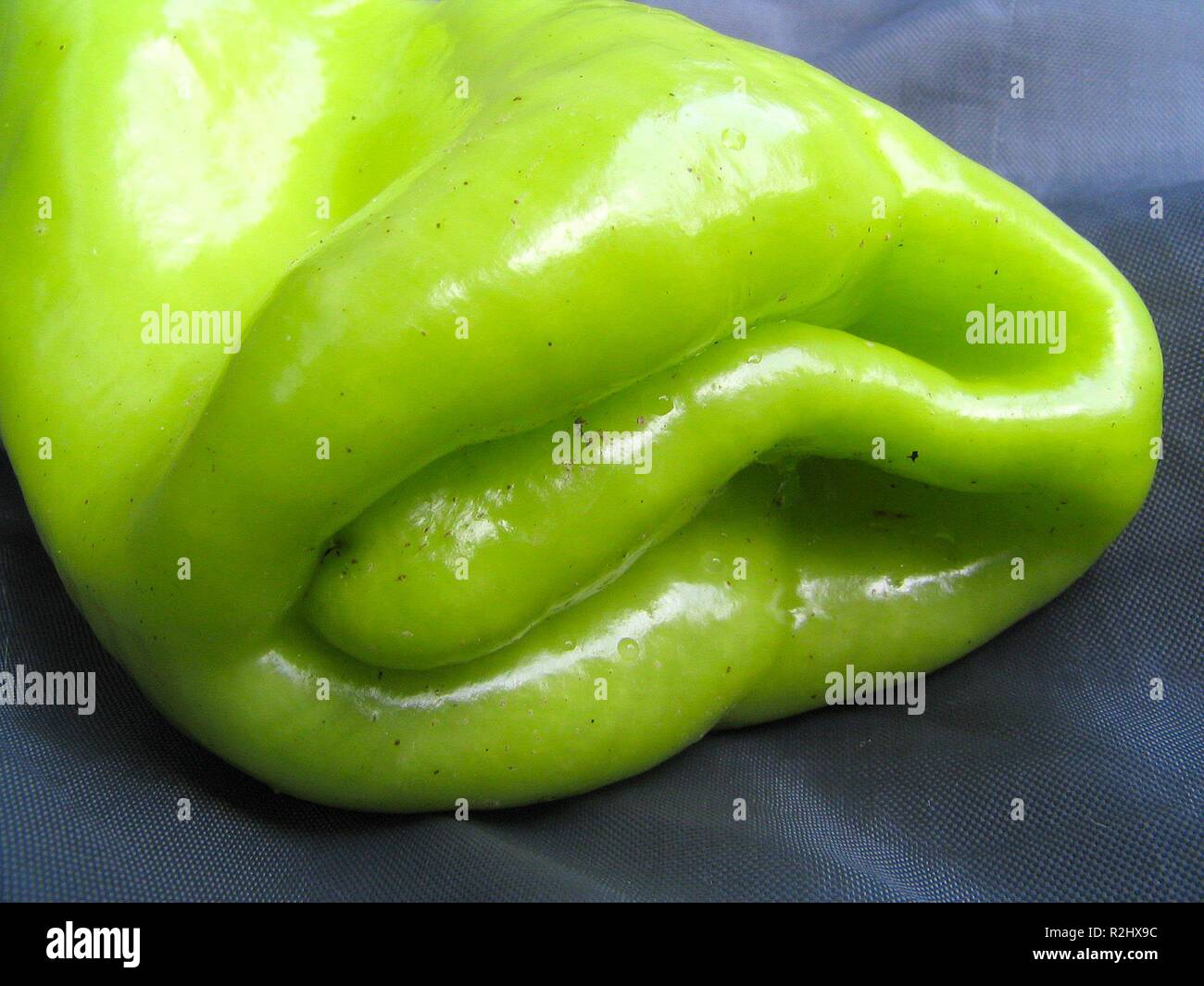 Uno scherzo della natura Foto Stock