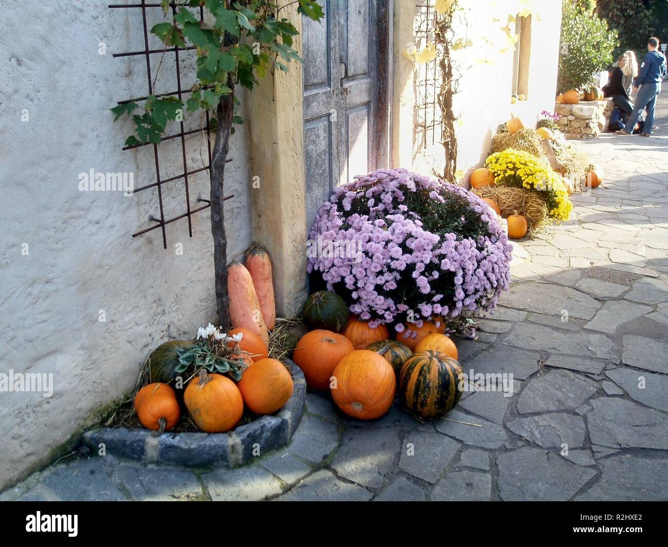 Halloween in europa park Foto Stock