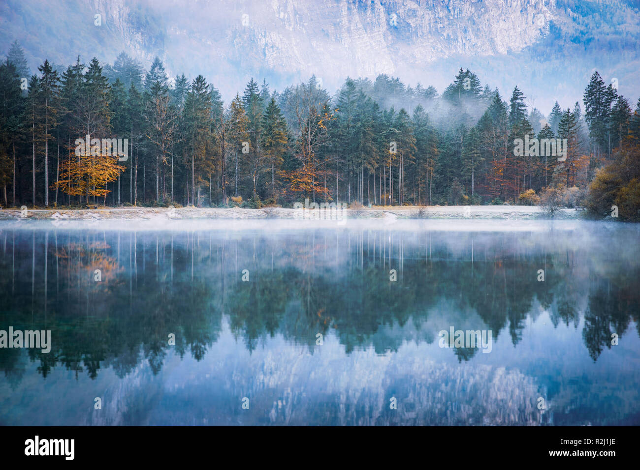 Autunno riflessioni di foresta in un lago, Bluntautal vicino a Golling, Salisburgo, Austria Foto Stock