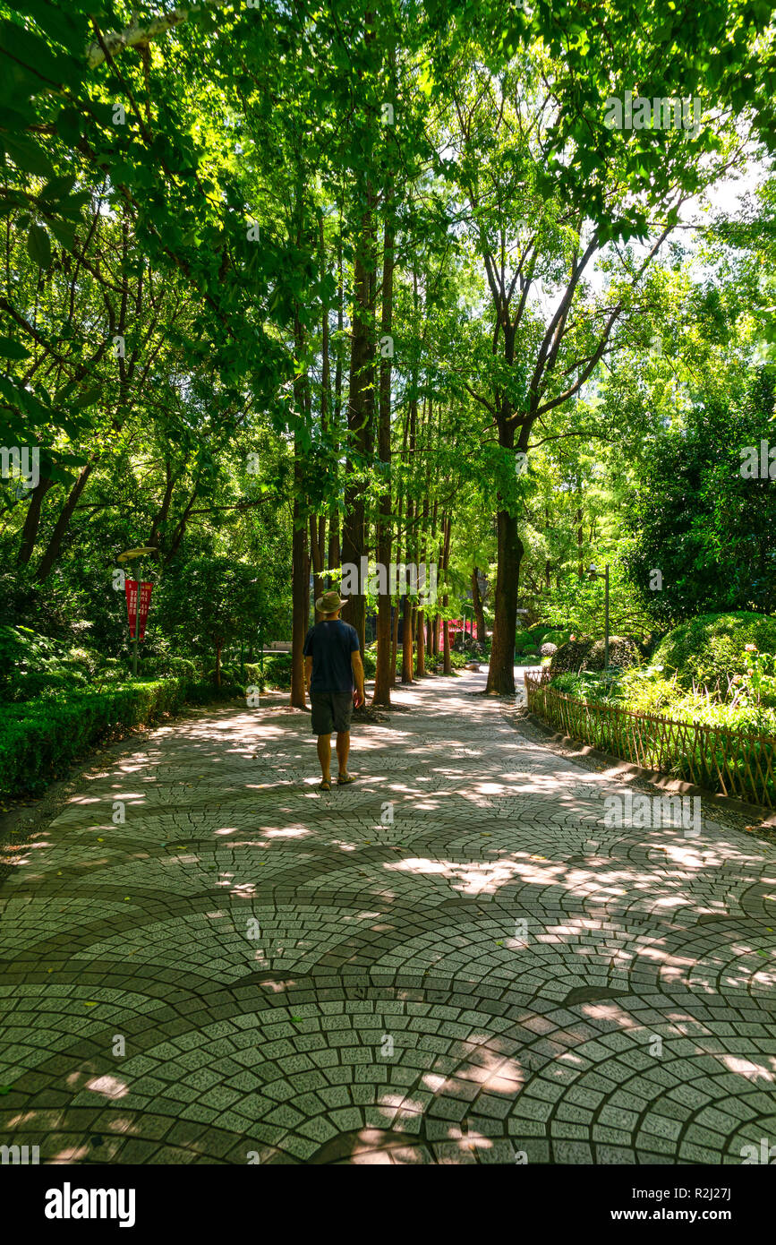 Uomo che cammina attraverso persone Park, Shanghai, Huangpu District, Cina Foto Stock