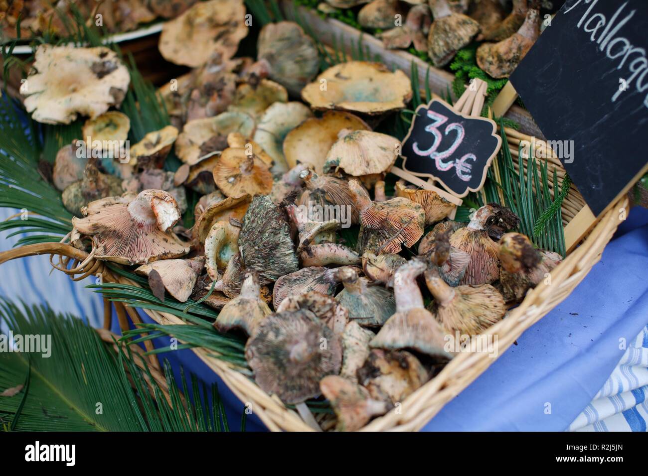 Close up di funghi in vendita a un prezzo di mercato in euro Foto Stock