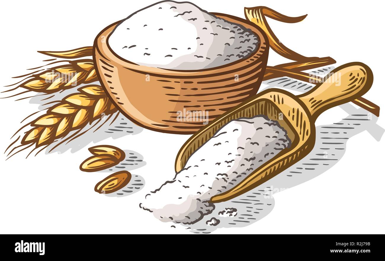 Colorfull farina dolce piatto di legno scoop su sfondo bianco illustrazione vettoriale Illustrazione Vettoriale