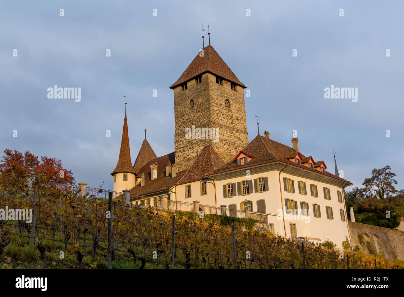 Castello di Spiez, sulla riva del lago di Thun nell Oberland Bernese Regione del cantone svizzero di Berna, Svizzera Foto Stock