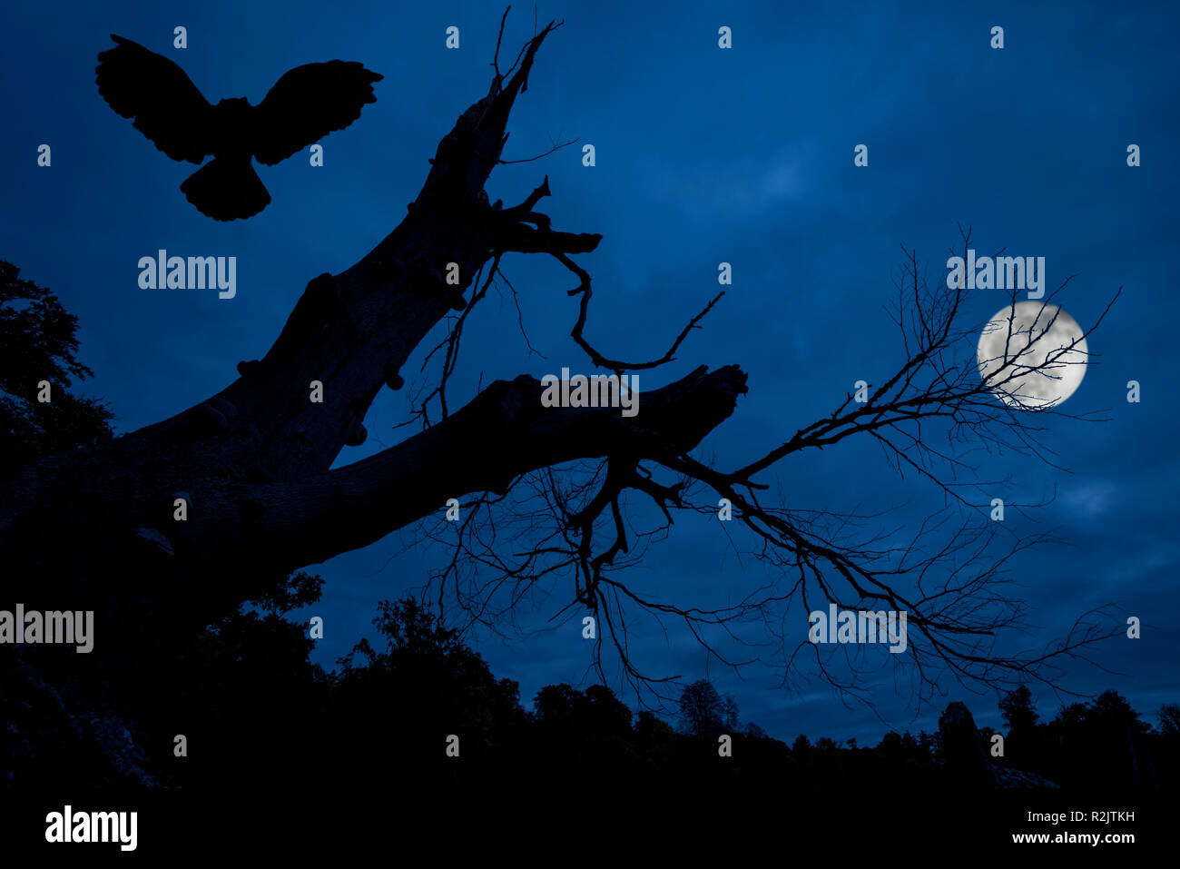 Gufo reale (Bubo bubo) lo sbarco in creepy rami e tronco di albero morto stagliano contro blu cielo notturno con luna piena sopra spooky forest Foto Stock