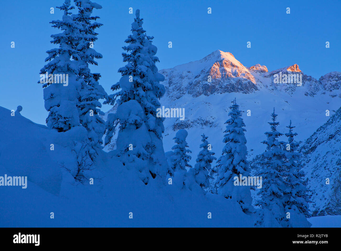 Austria Vorarlberg Lech am Arlberg, Omeshorn dalla valle Zuger Foto Stock