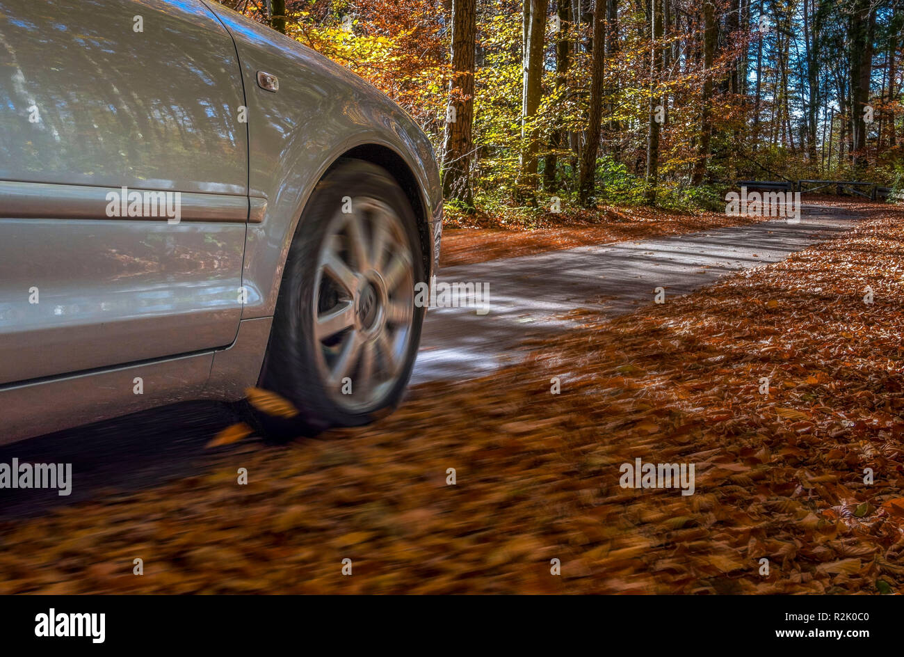 La guida con un auto su foglie di autunno, pericolosa la superficie stradale, pericolo di slittamento Foto Stock