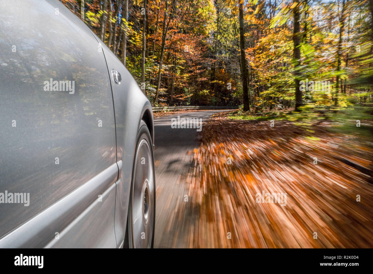 La guida con un auto su foglie di autunno, pericolosa la superficie stradale, pericolo di slittamento Foto Stock
