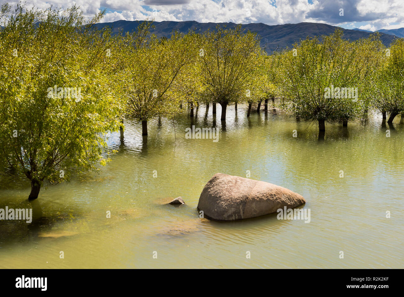 Yarlung Tsangpo canyon Foto Stock